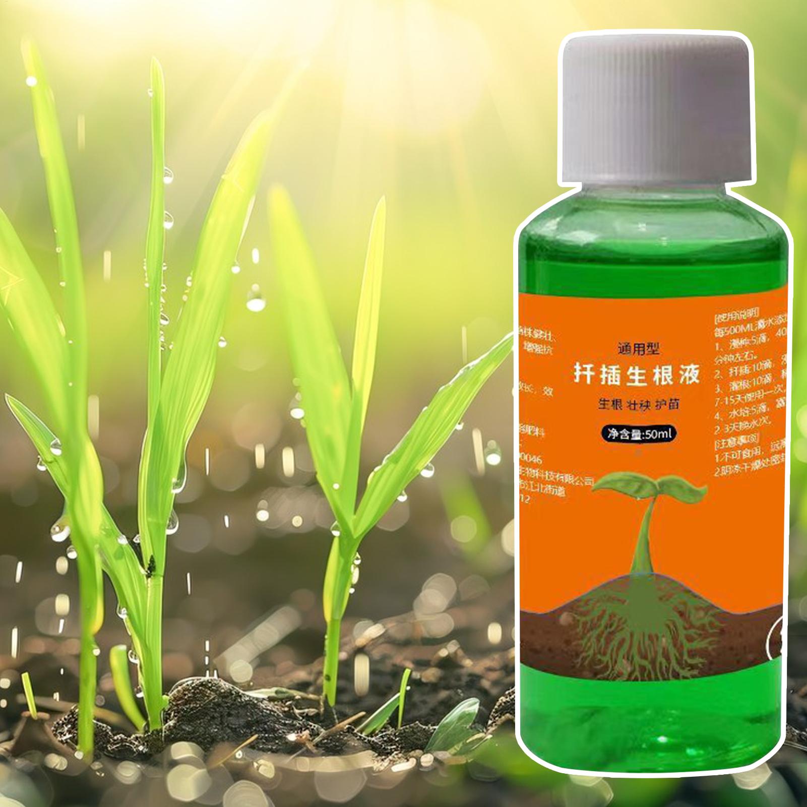High-Efficiency Root Stimulato - Root Stimulator Liquid 评论和价格