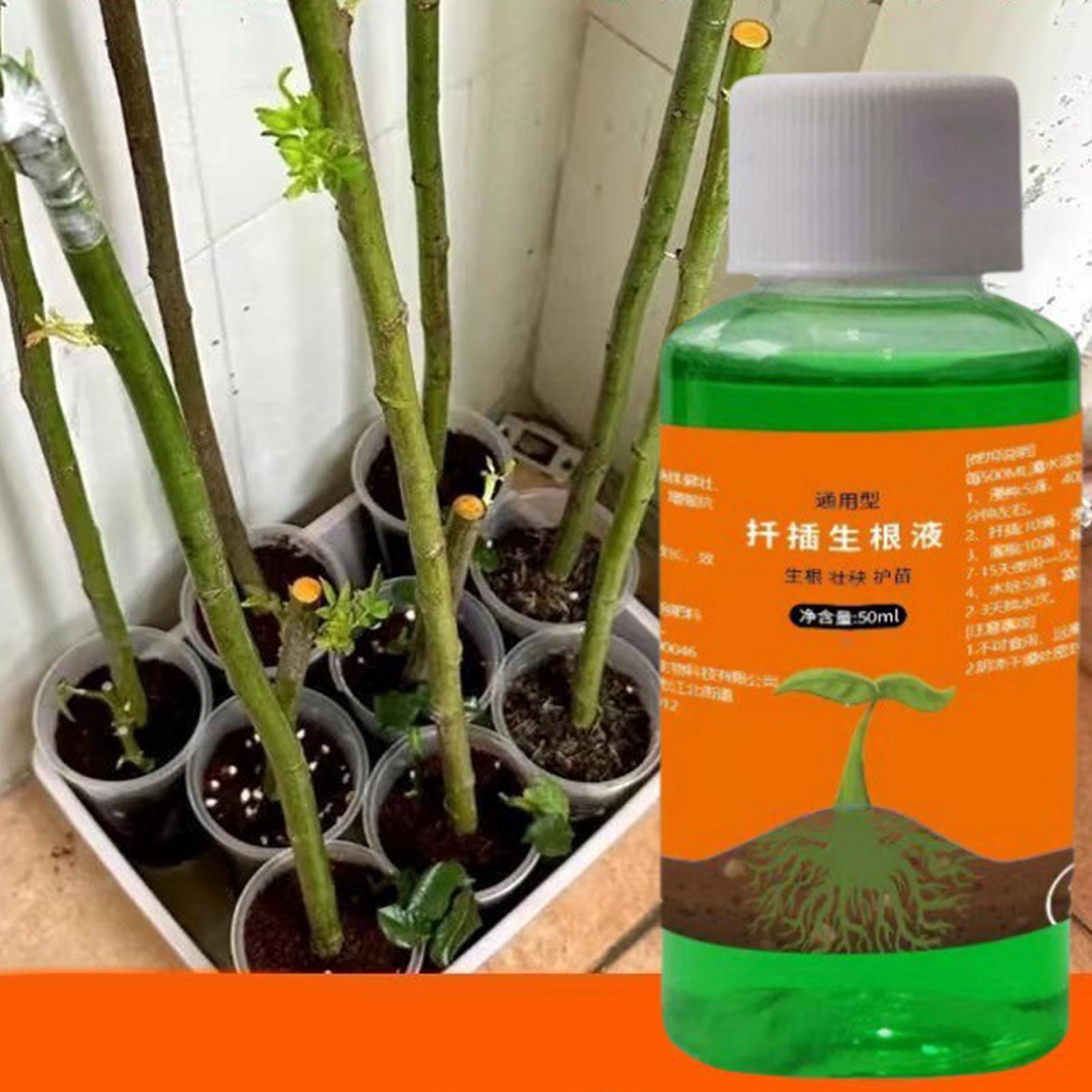 High-Efficiency Root Stimulato - Root Stimulator Liquid 评论和价格