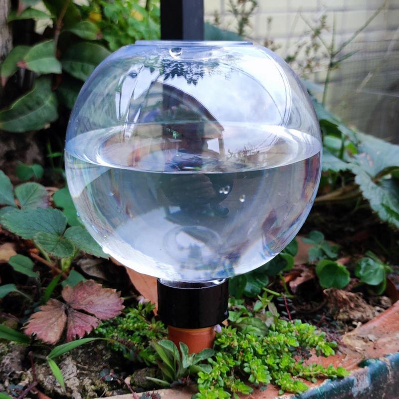 Plant Watering Bulbs Automatic - Self Watering Insert 评论和价格