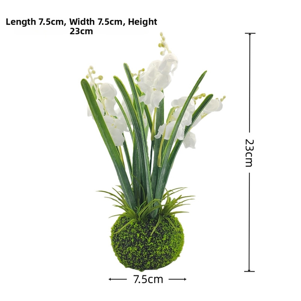 Compact Handcrafted Moss Ball  - Sphagnum Moss Dry 评论和价格