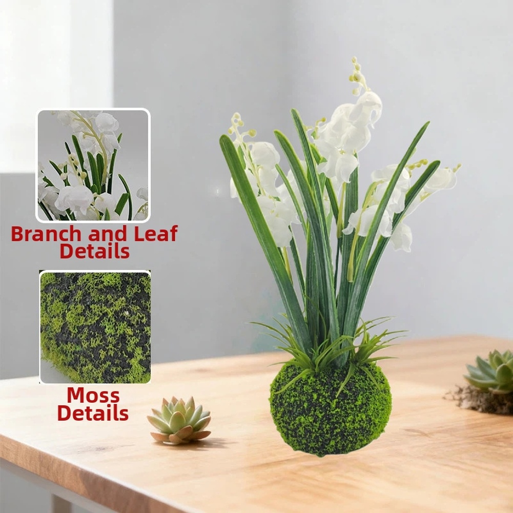 Compact Handcrafted Moss Ball  - Sphagnum Moss Dry 评论和价格