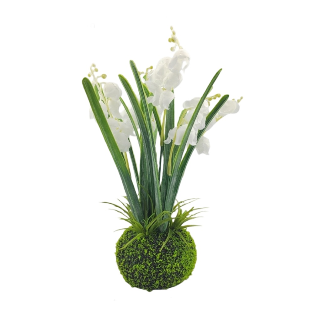 Compact Handcrafted Moss Ball  - Sphagnum Moss Dry 评论和价格