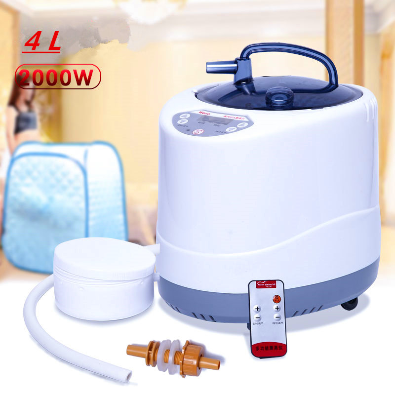 Steam Generator 220V/110V  EU  - Self Watering Insert 评论和价格