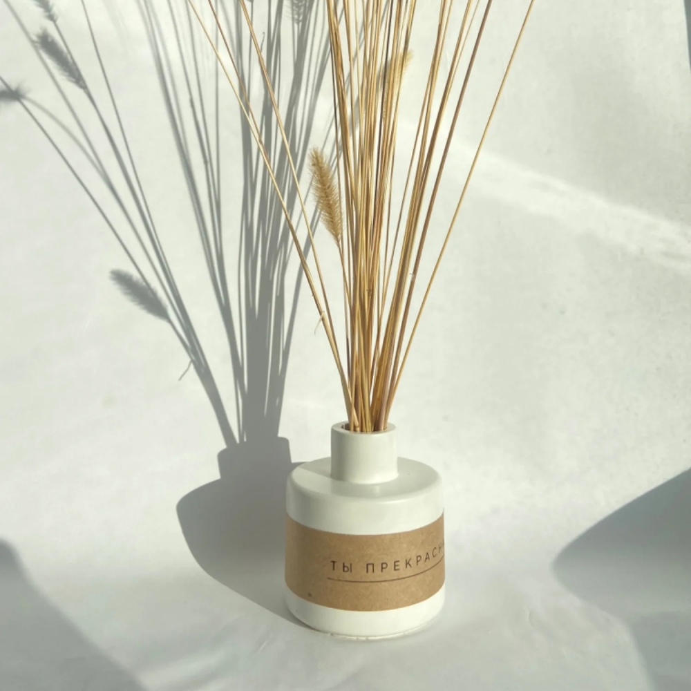 Fragrance Bottle Clay Silicone - Misting Bottle Fine 评论和价格