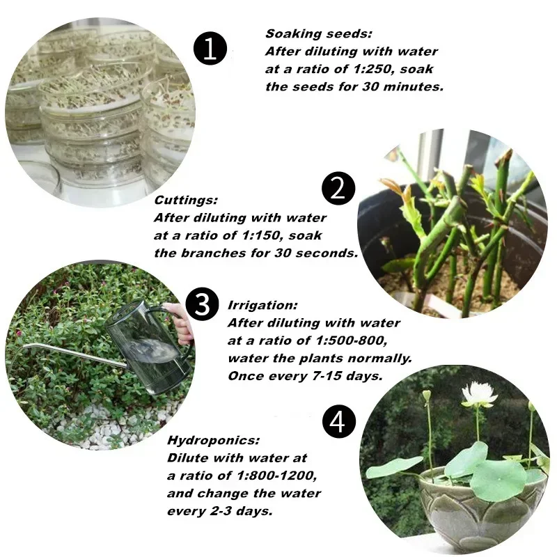 10g Quickly Rooting Powder Hor - Rooting Hormone Powder 评论和价格