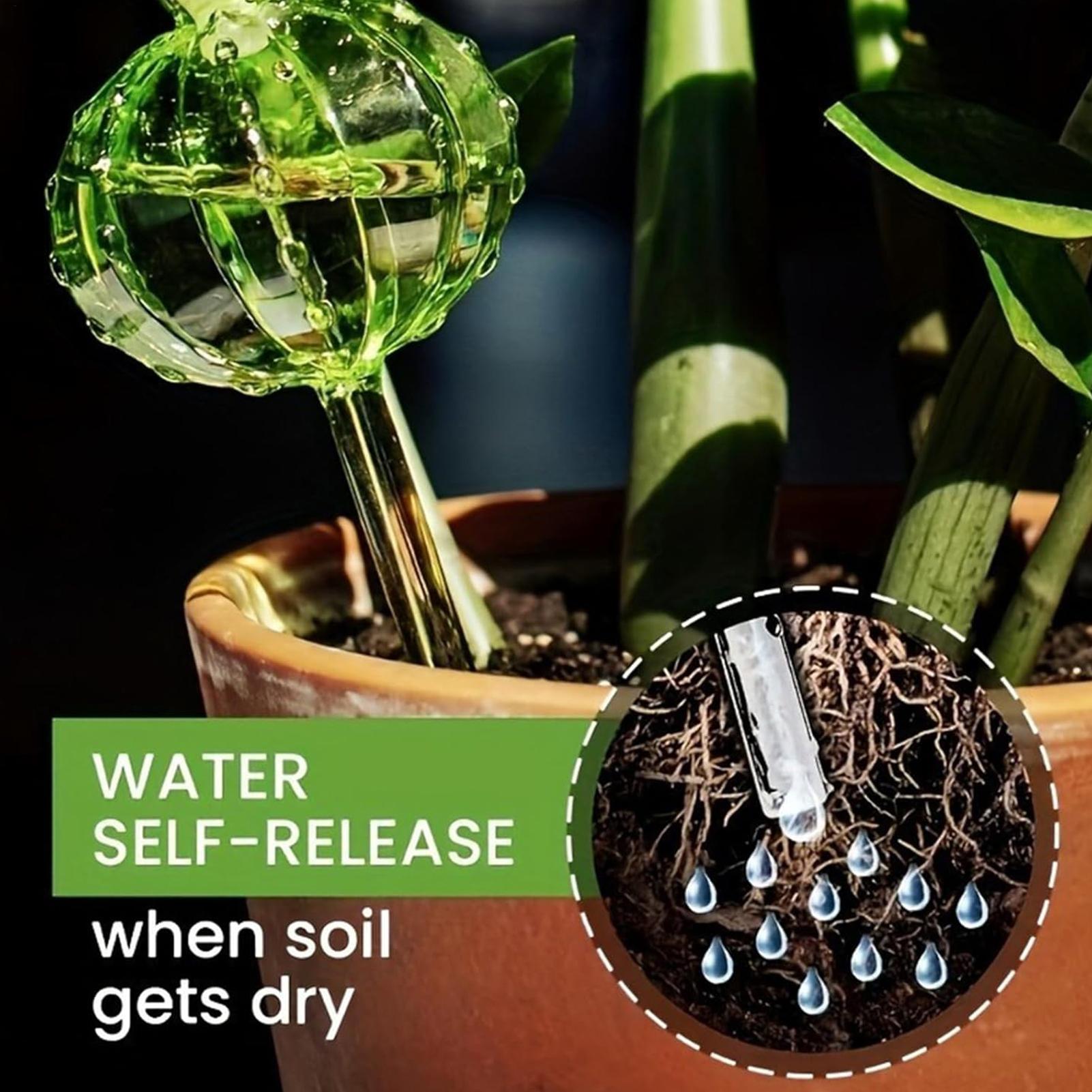 Plant Watering Stakes 3 Pieces - Self Watering Insert 评论和价格