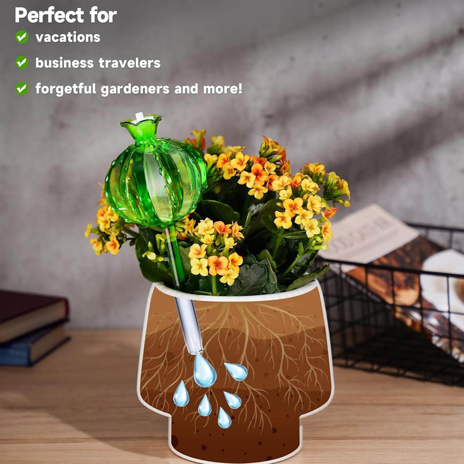 Plant Watering Stakes 3 Pieces - Self Watering Insert 评论和价格