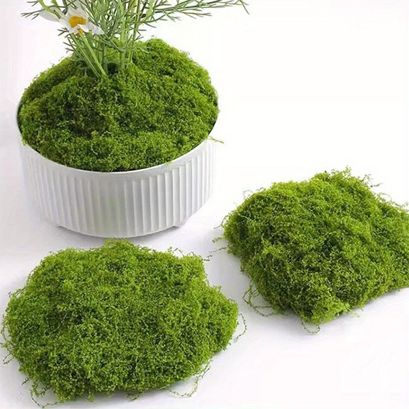 Green Fake Moss DIY Crafts Gra - Sphagnum Moss Dry 评论和价格