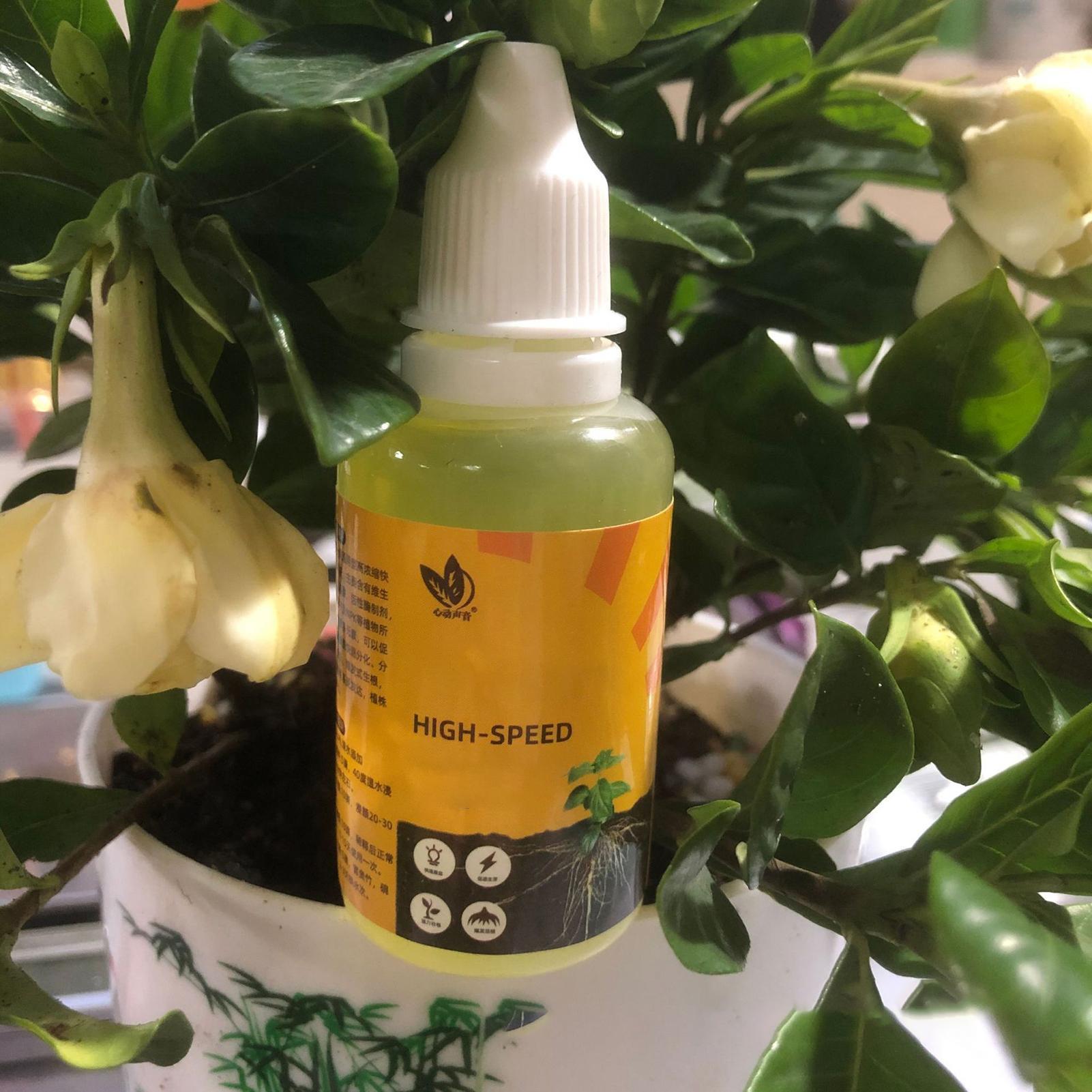 Plant Rapid Rooting Solution 5 - Root Stimulator Liquid 评论和价格