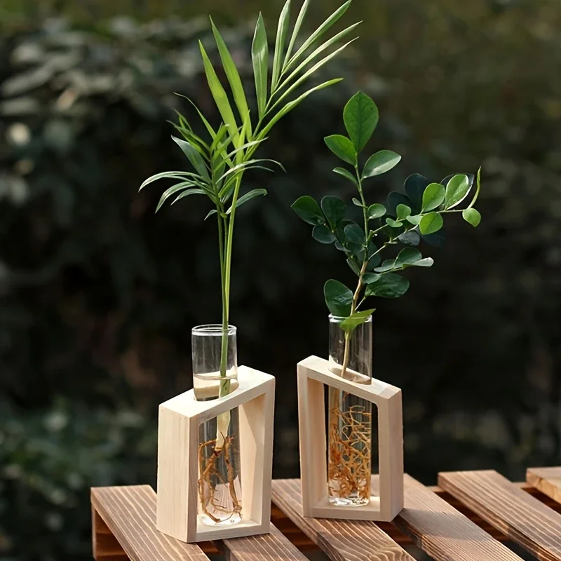 Test Tube Glass Vase Plant Pro - Propagation Station Vase 评论和价格