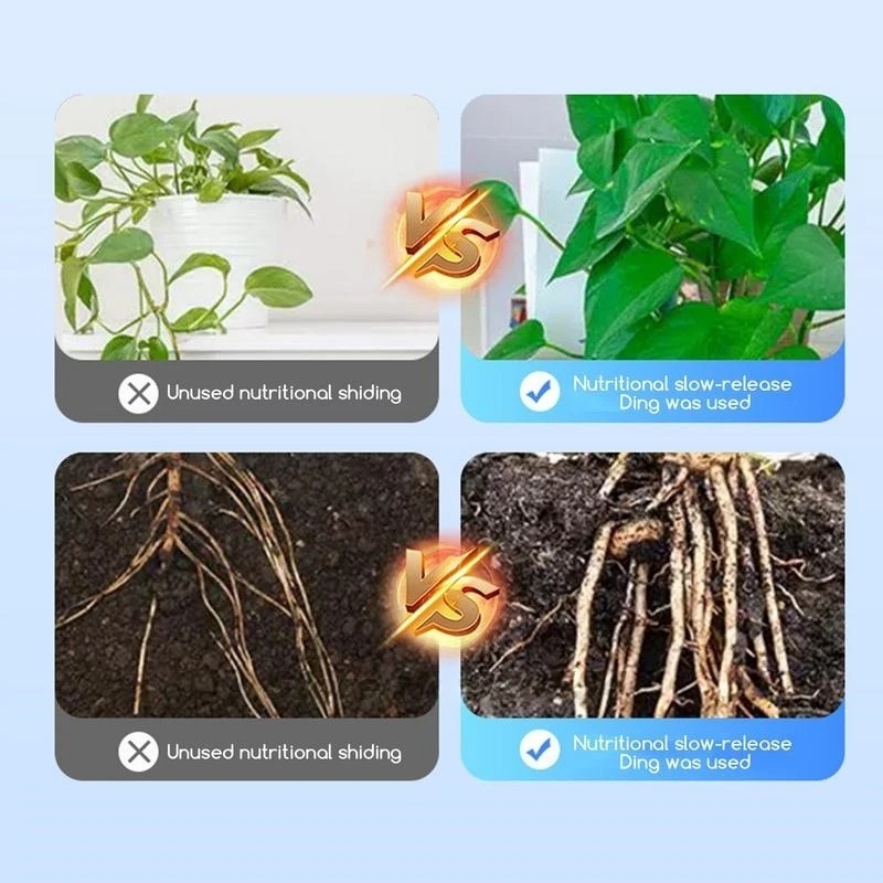 500g High-strength Rooting Hor - Rooting Hormone Powder 评论和价格