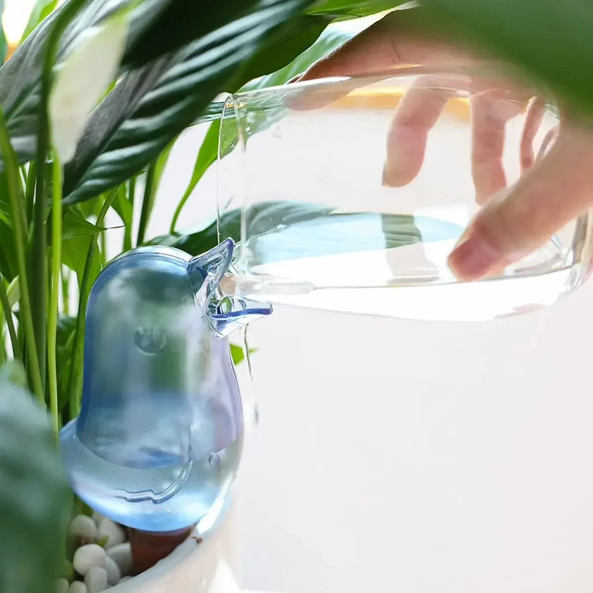 High quality automatic flower  - Self Watering Insert 评论和价格