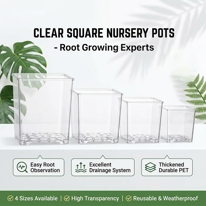 Clear Square Acrylic Plastic P - Sphagnum Moss Dry 评论和价格