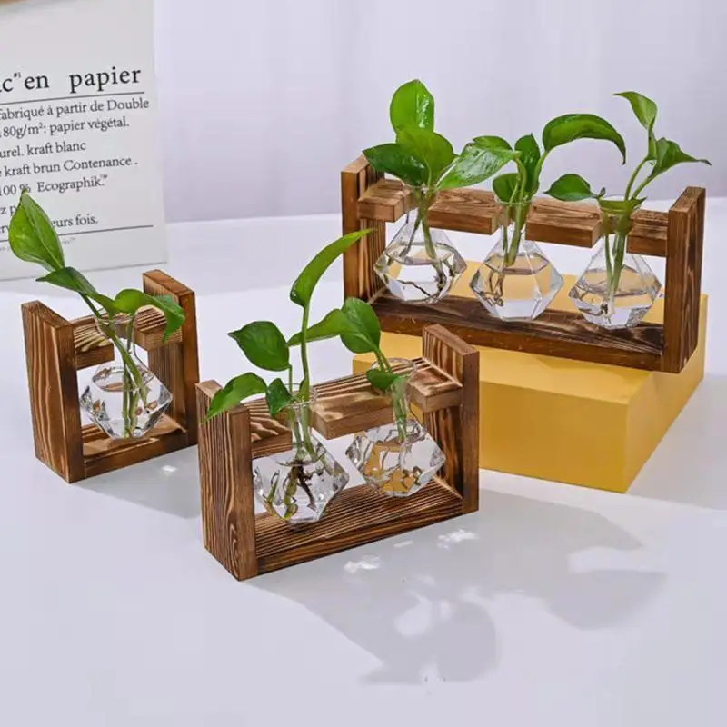 〔20E〕|Tabletop Glass Planter P - Propagation Station Vase 评论和价格
