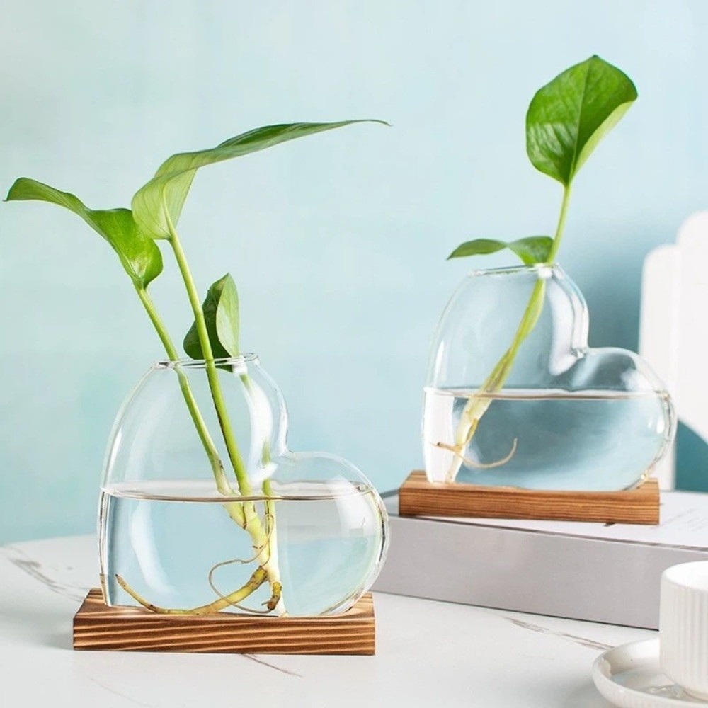 Transparent Hydroponic Glass V - Propagation Station Vase 评论和价格