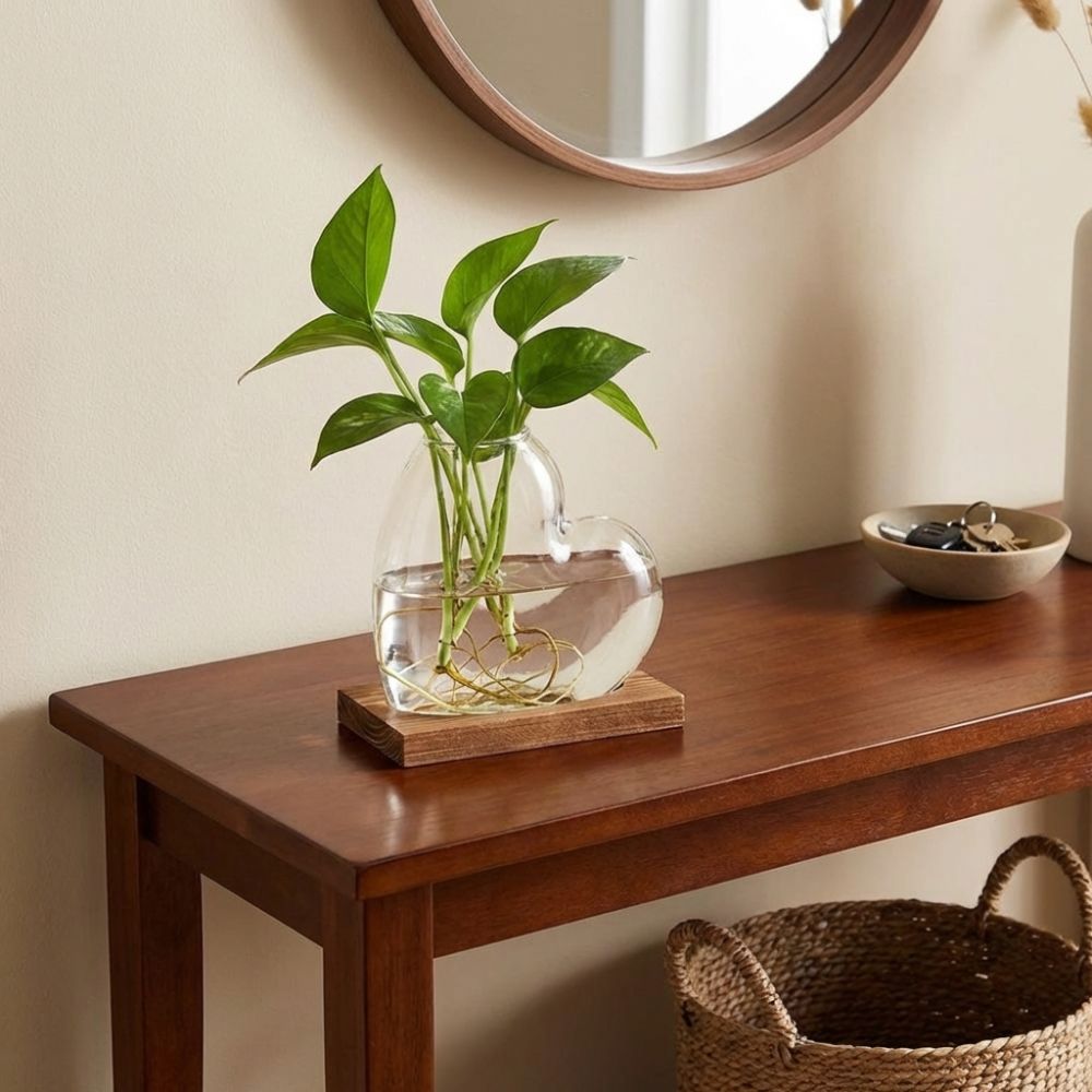 Transparent Hydroponic Glass V - Propagation Station Vase 评论和价格