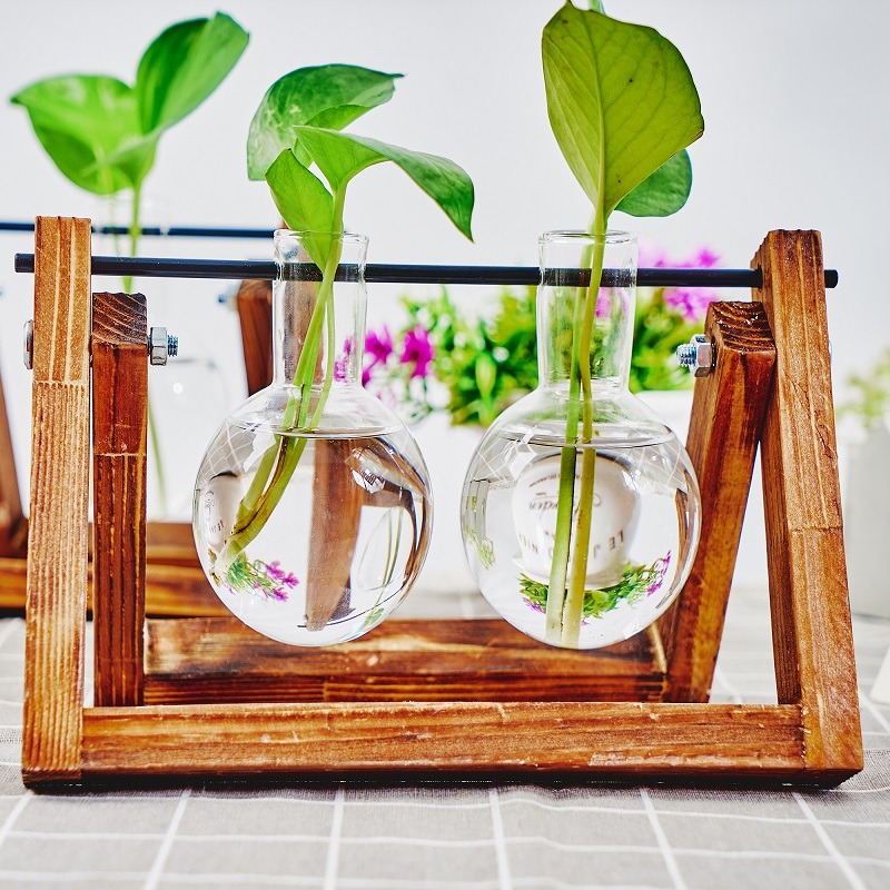 Tabletop Glass Planter Propaga - Propagation Station Vase 评论和价格