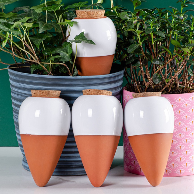 Plant Watering Ball, Terracott - Self Watering Insert 评论和价格