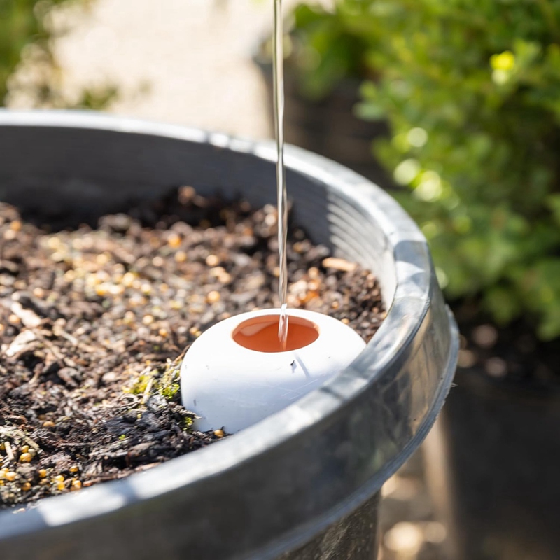 Plant Watering Ball, Terracott - Self Watering Insert 评论和价格