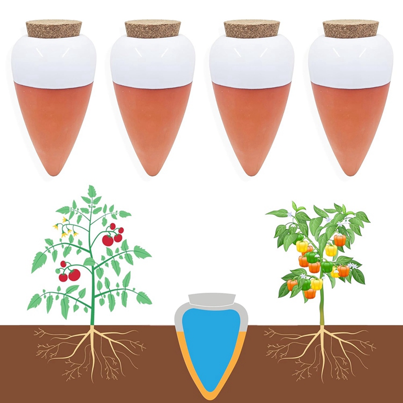 Plant Watering Ball, Terracott - Self Watering Insert 评论和价格